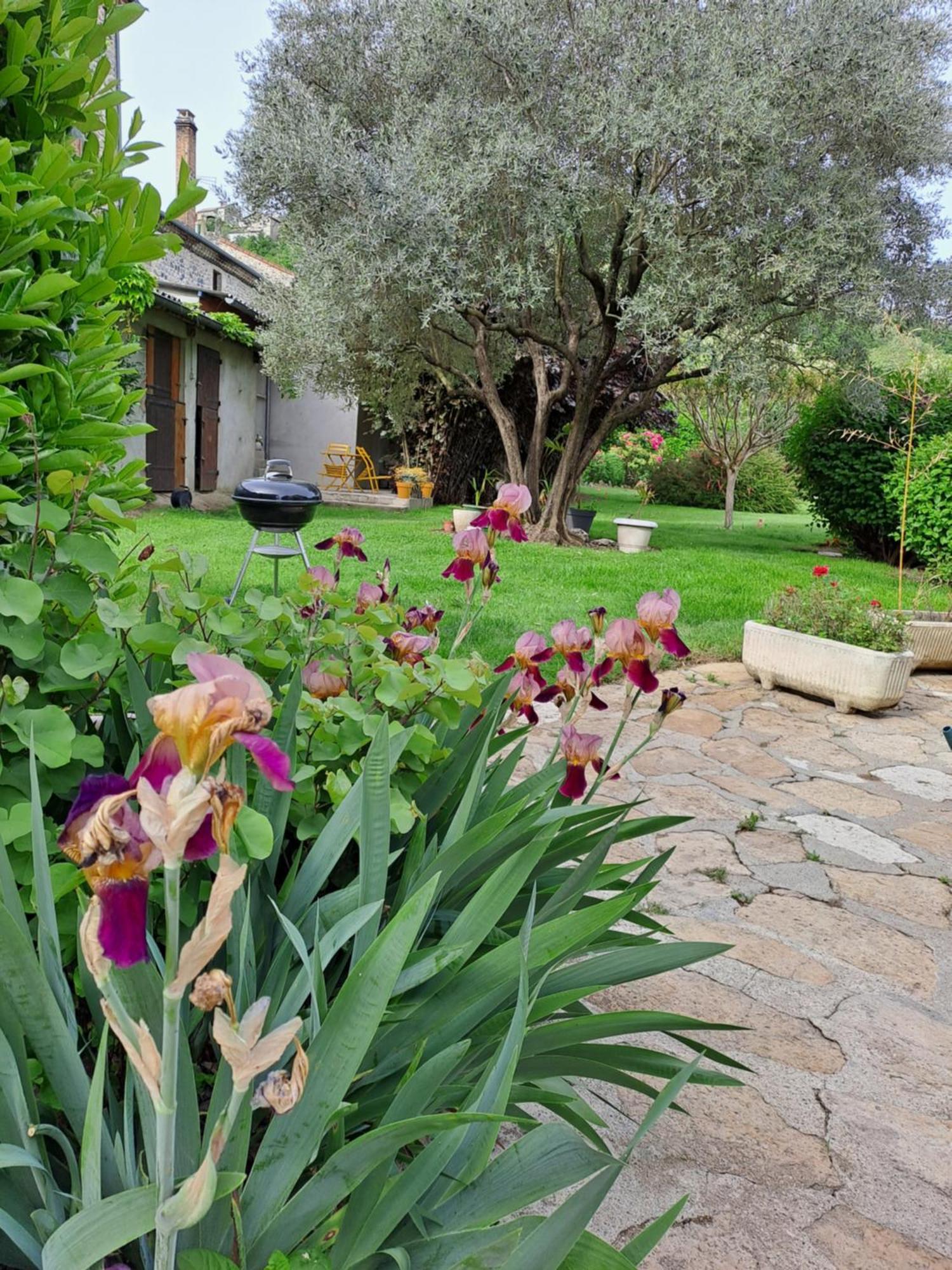 Gite 3 "Le Canal De Baza" Aux Magnolias Aubenas Exterior foto